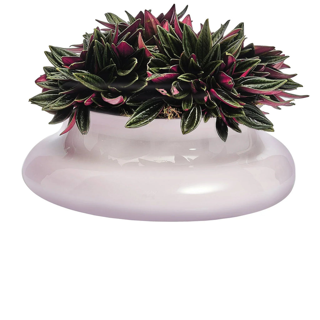 Kurage Vase
