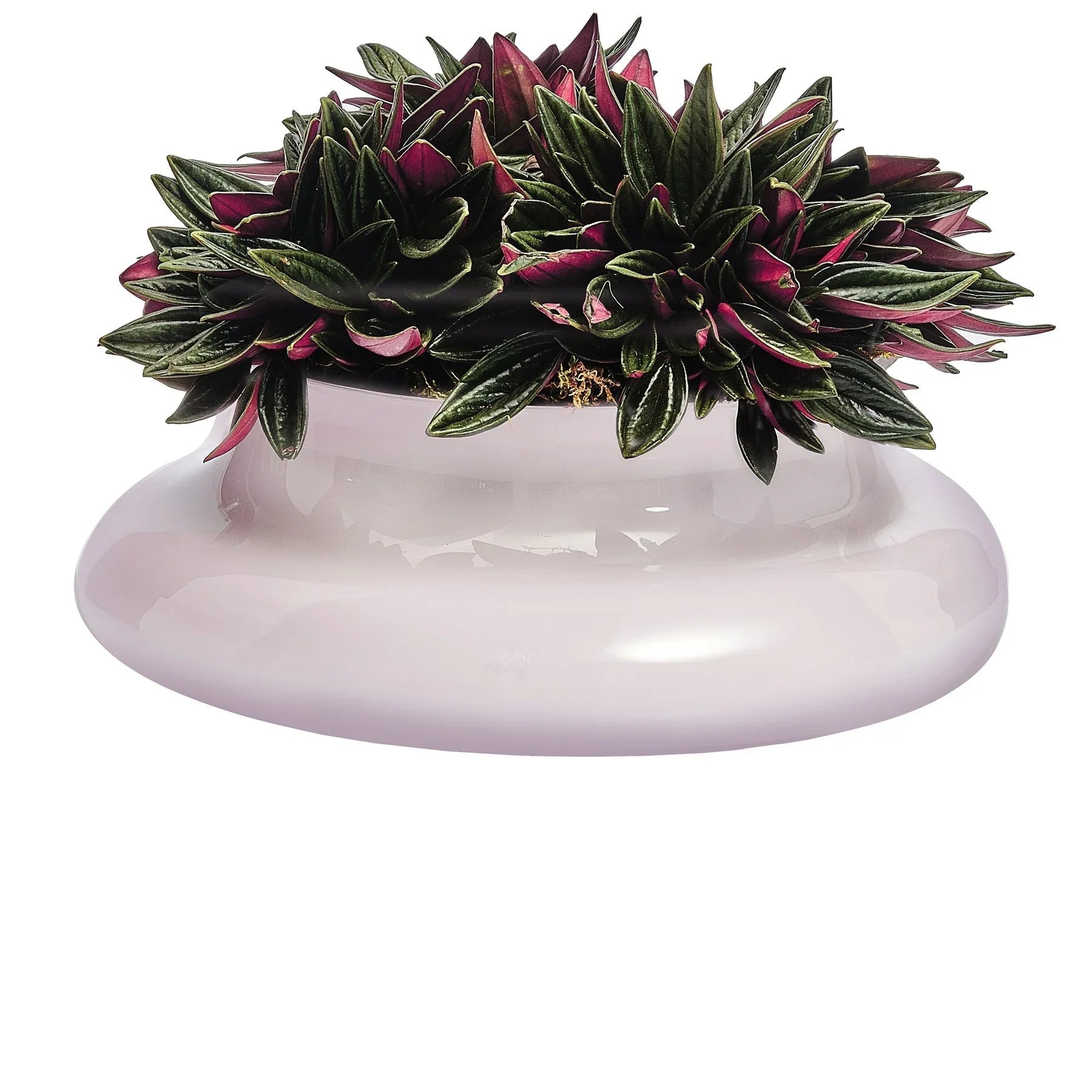 Kurage Vase