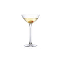 Savage Set of 2 Coupetini Glasses
