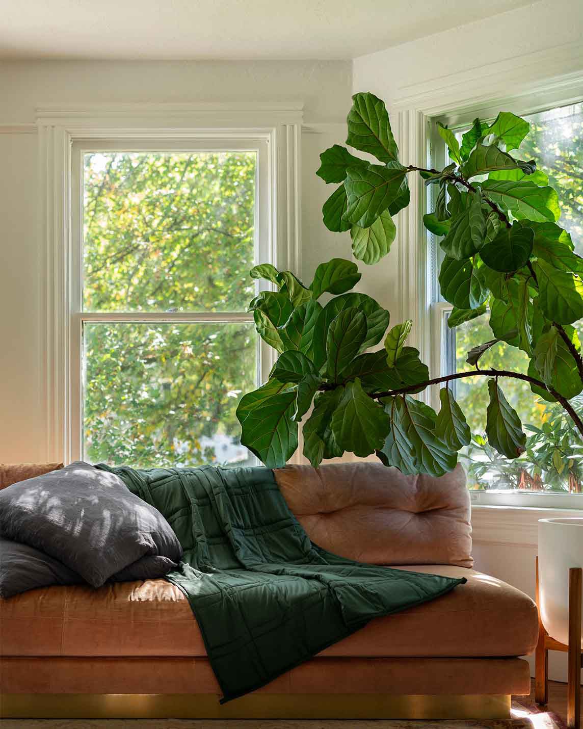 Weighted Blanket
