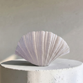 Coraline Terracotta Vase, Hand-painted in Oyster White, 12.2"L x 8.2"H