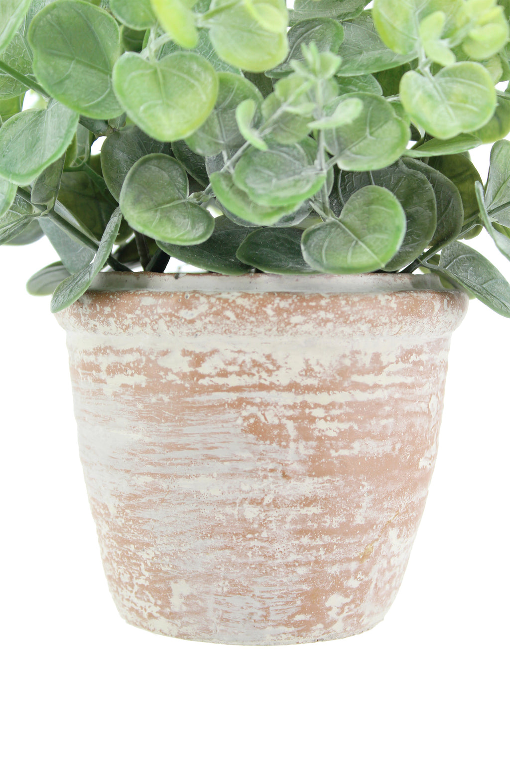 10" Eucalyptus & 16" Citrus Topiary Set