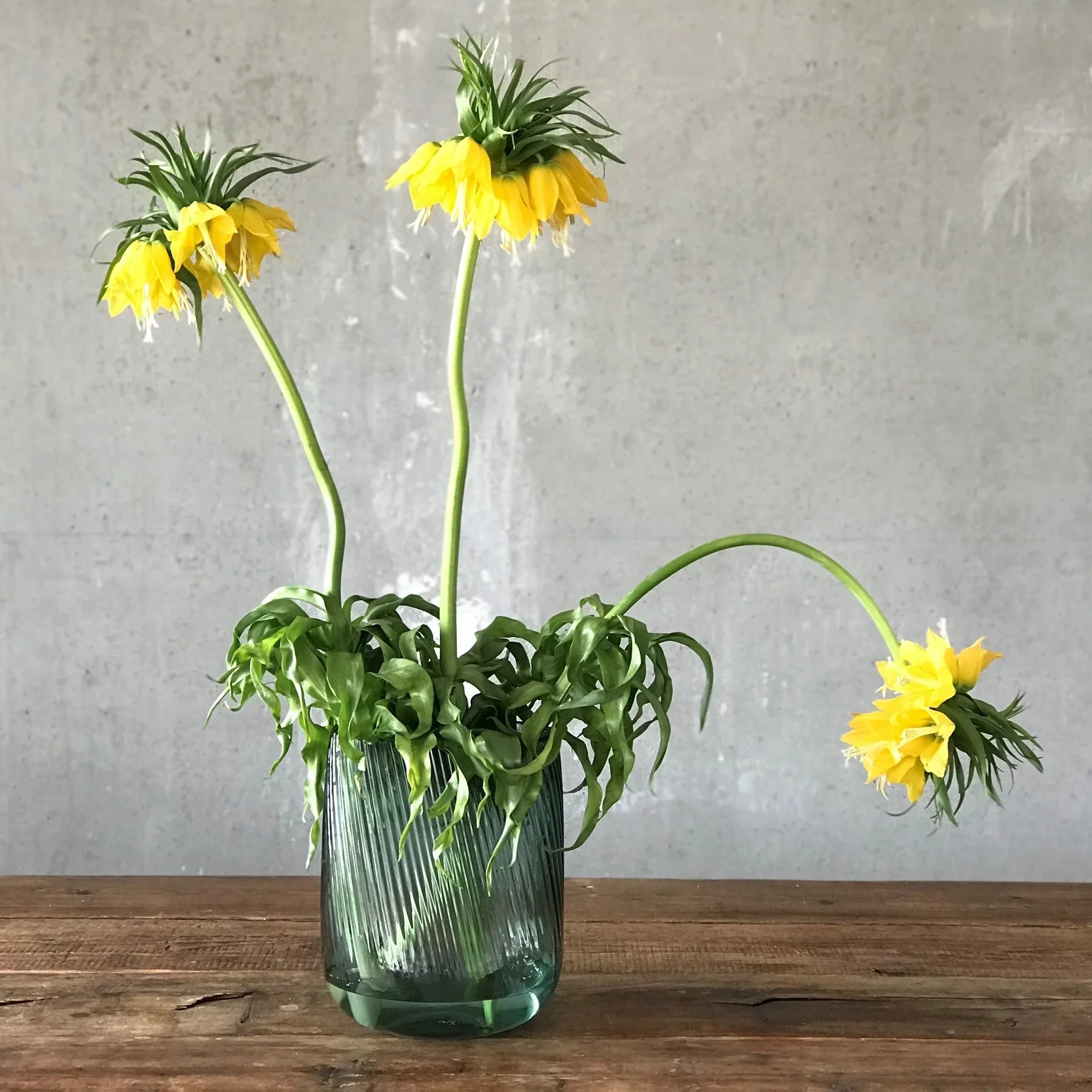 Opti Vase Tall