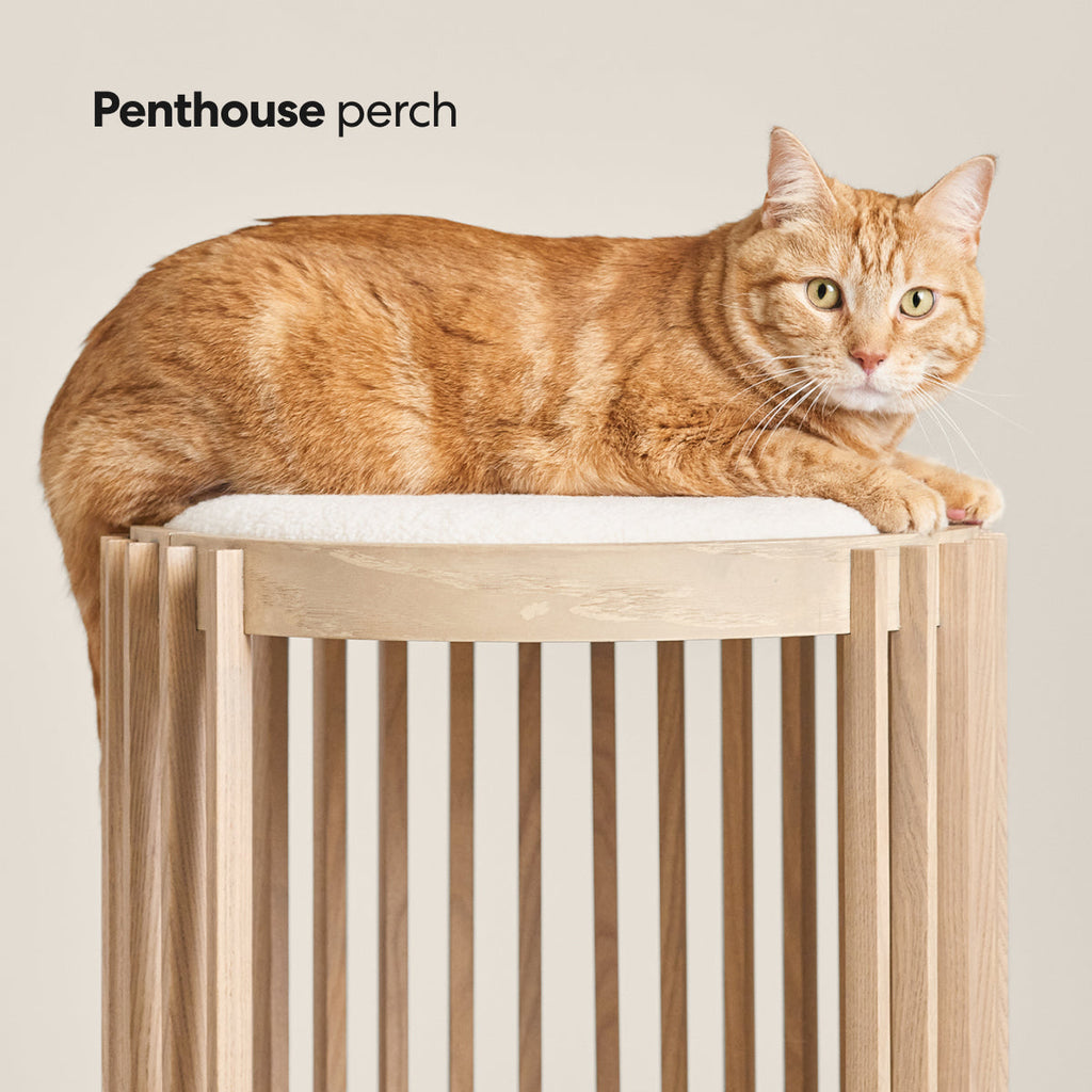 Grove Cat Tower