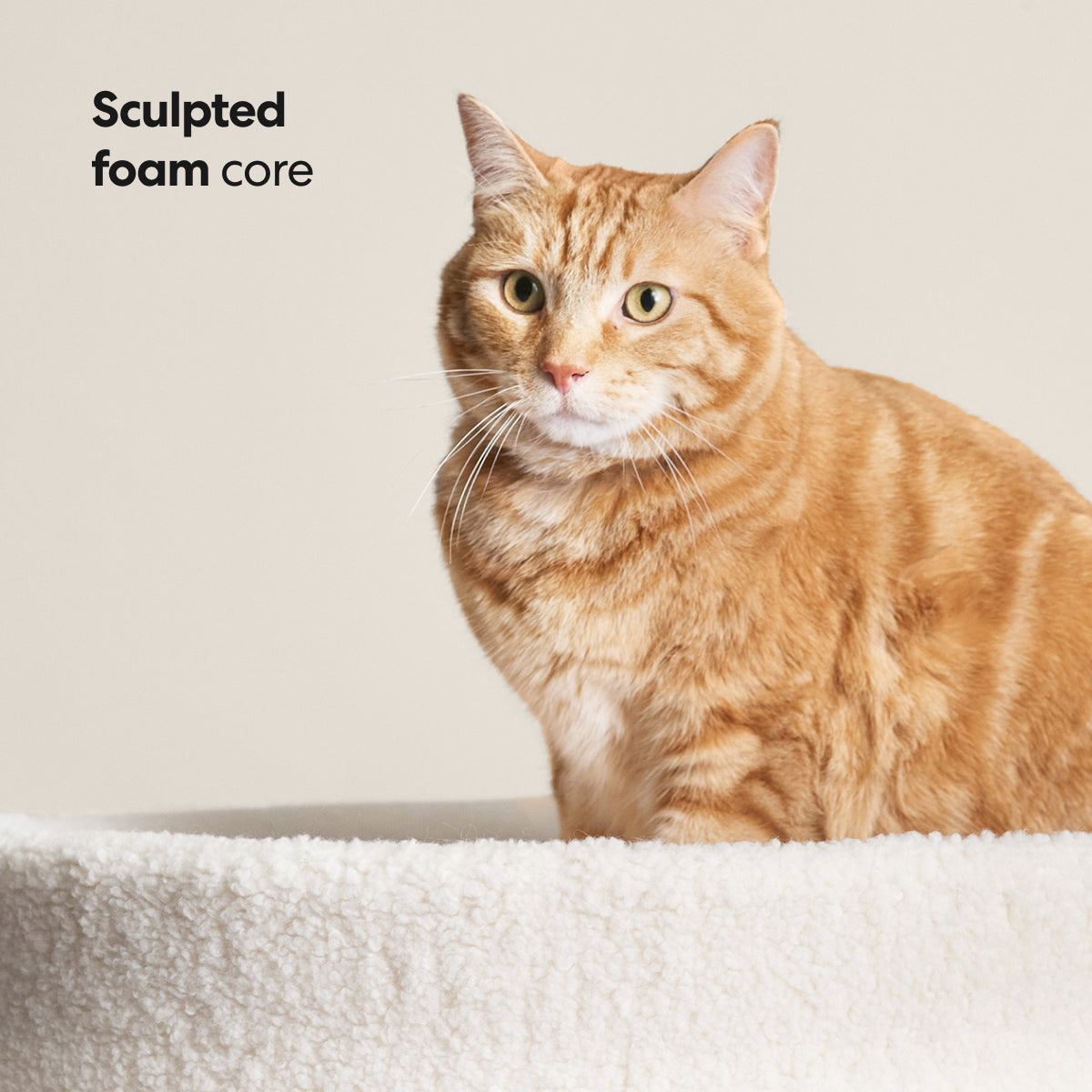 Kip Cat Bed