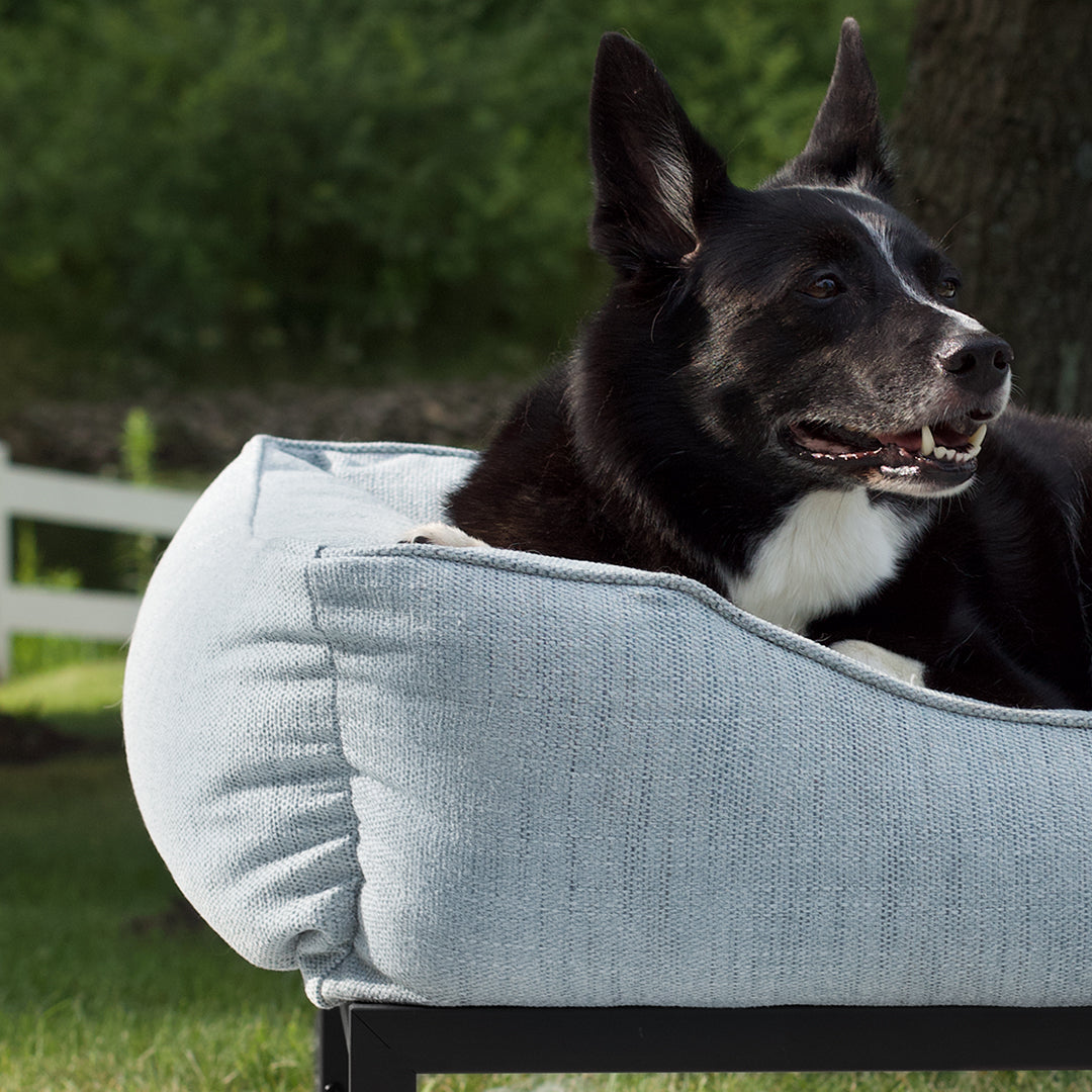 The FÜZI Elevated Dog Bed