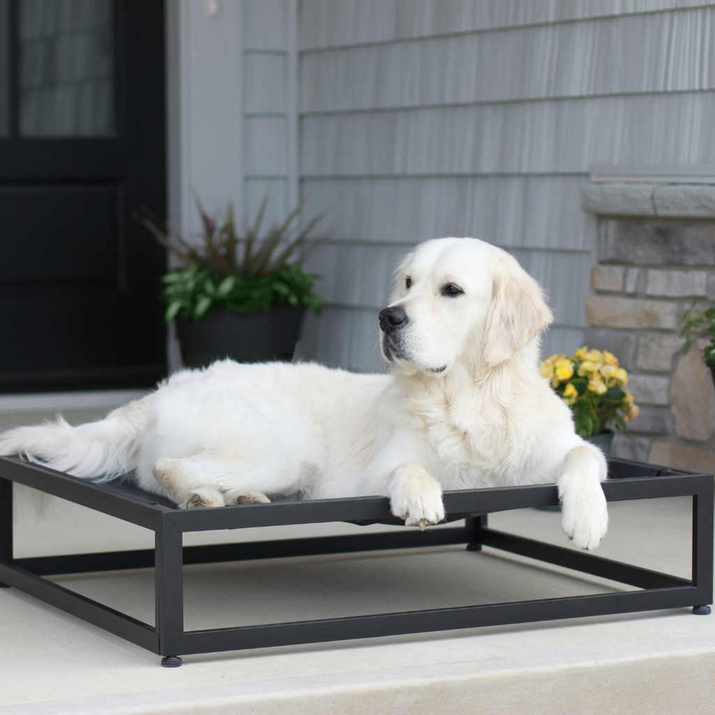 The Up Pup Dog Cot