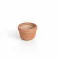Felipe Terracotta Planters by MESO
