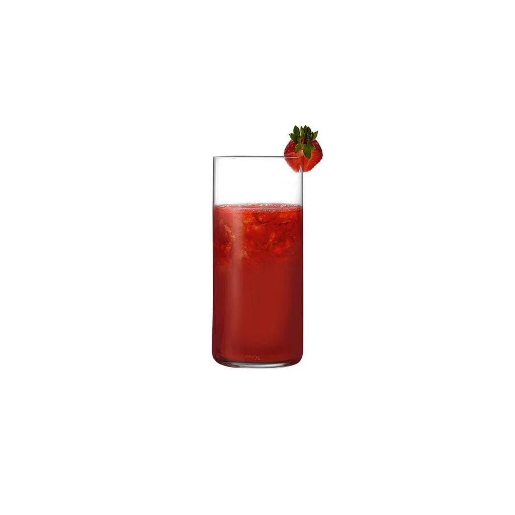 Finesse Set of 4 Long Drink Glasses
