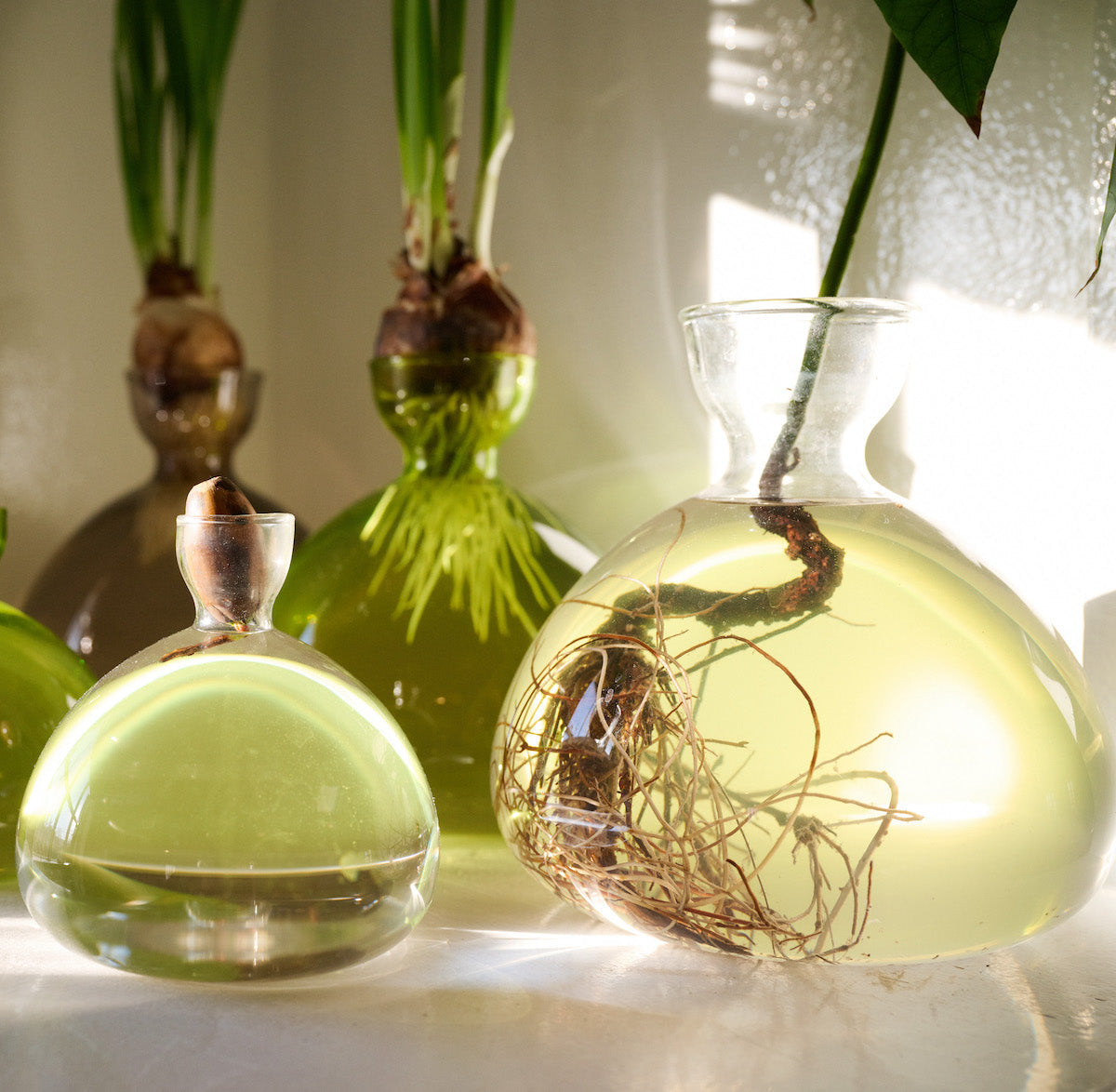 Acorn Vase