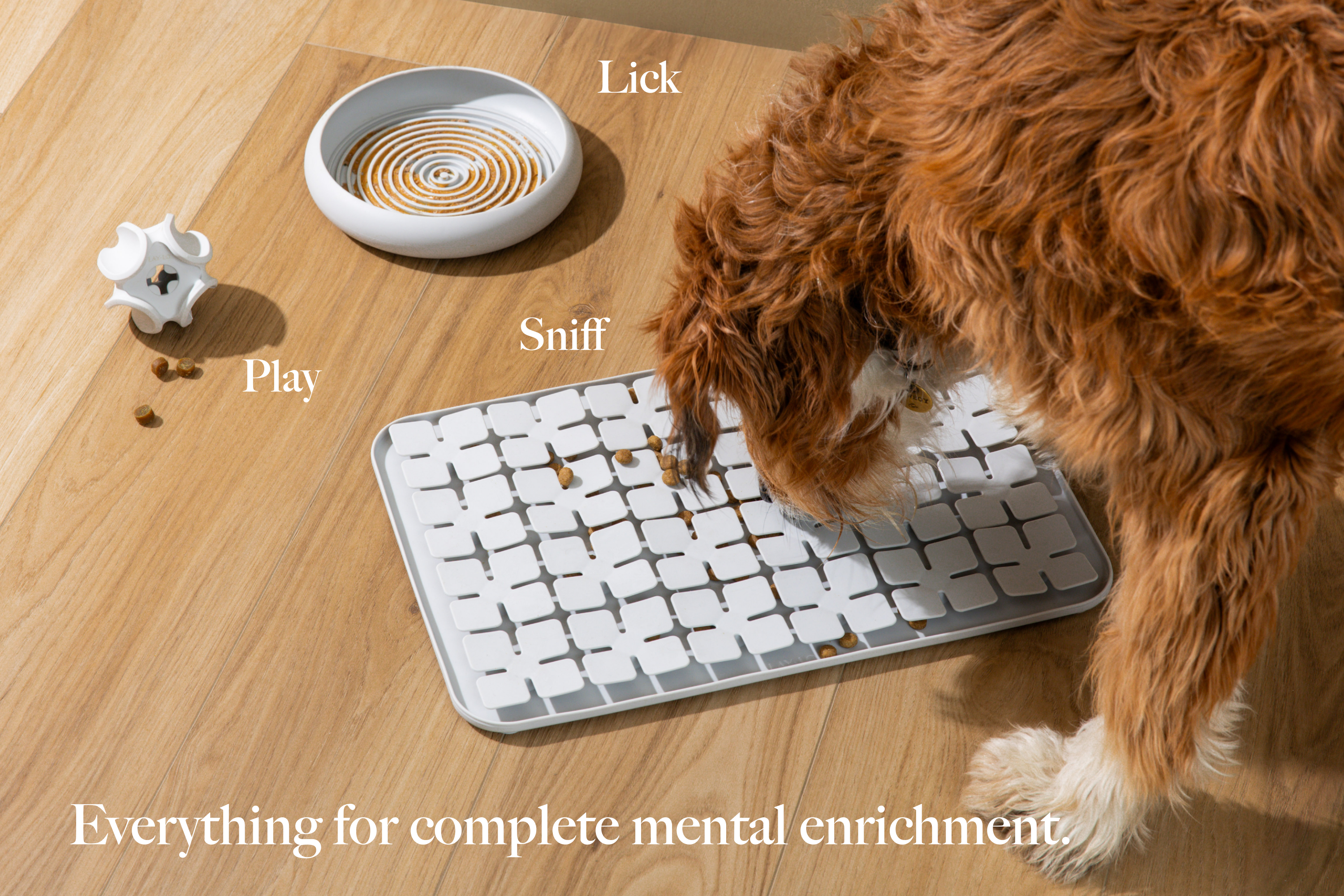 LAY LO Dog Enrichment Starter Bundle & Gift Box