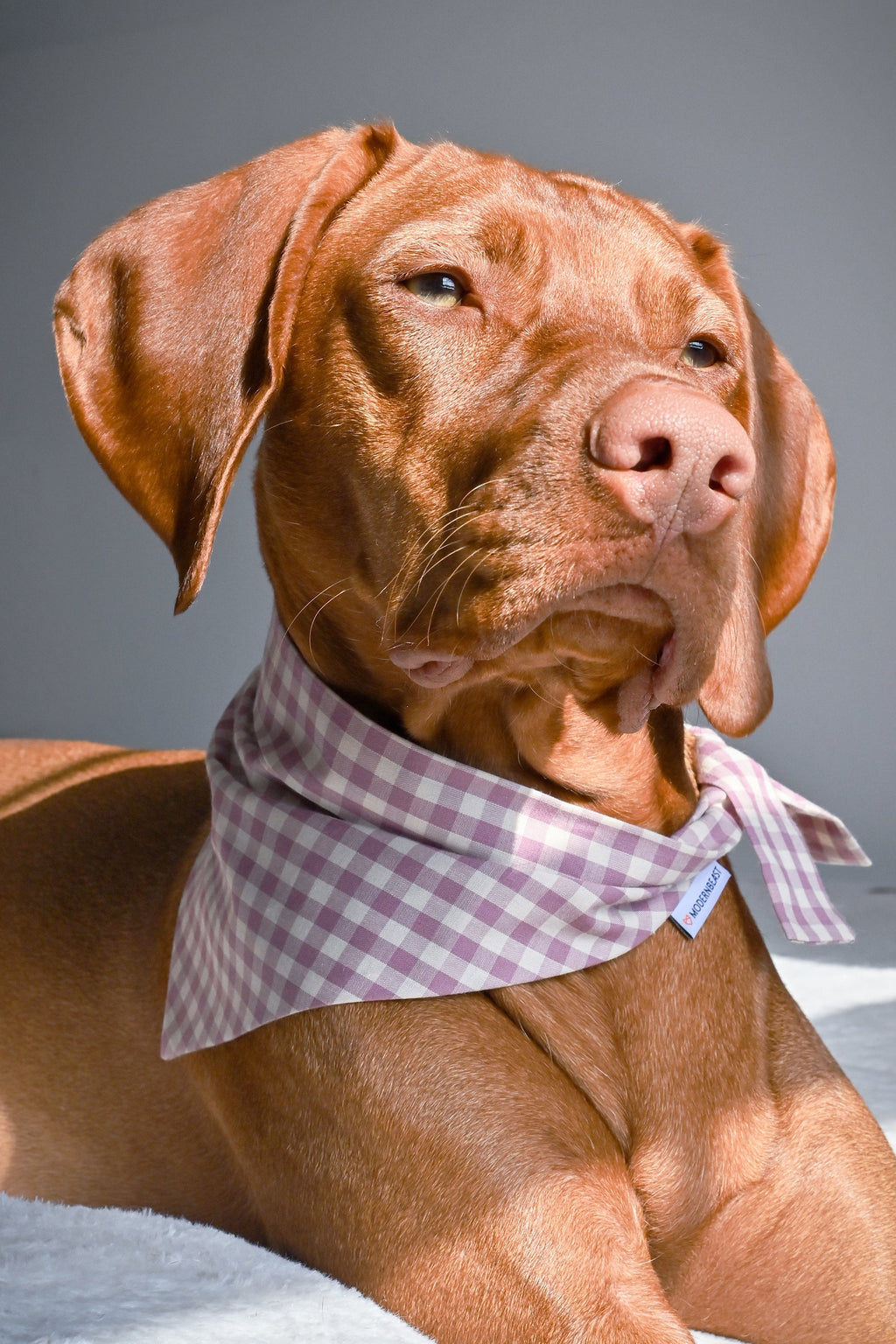 GINGHAM BANDANA