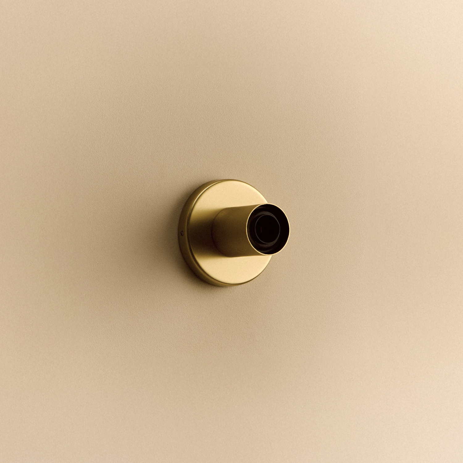 Lochan Wall Light in Brass