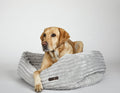 Luna Grey Napper Dog Bed with Bolsters