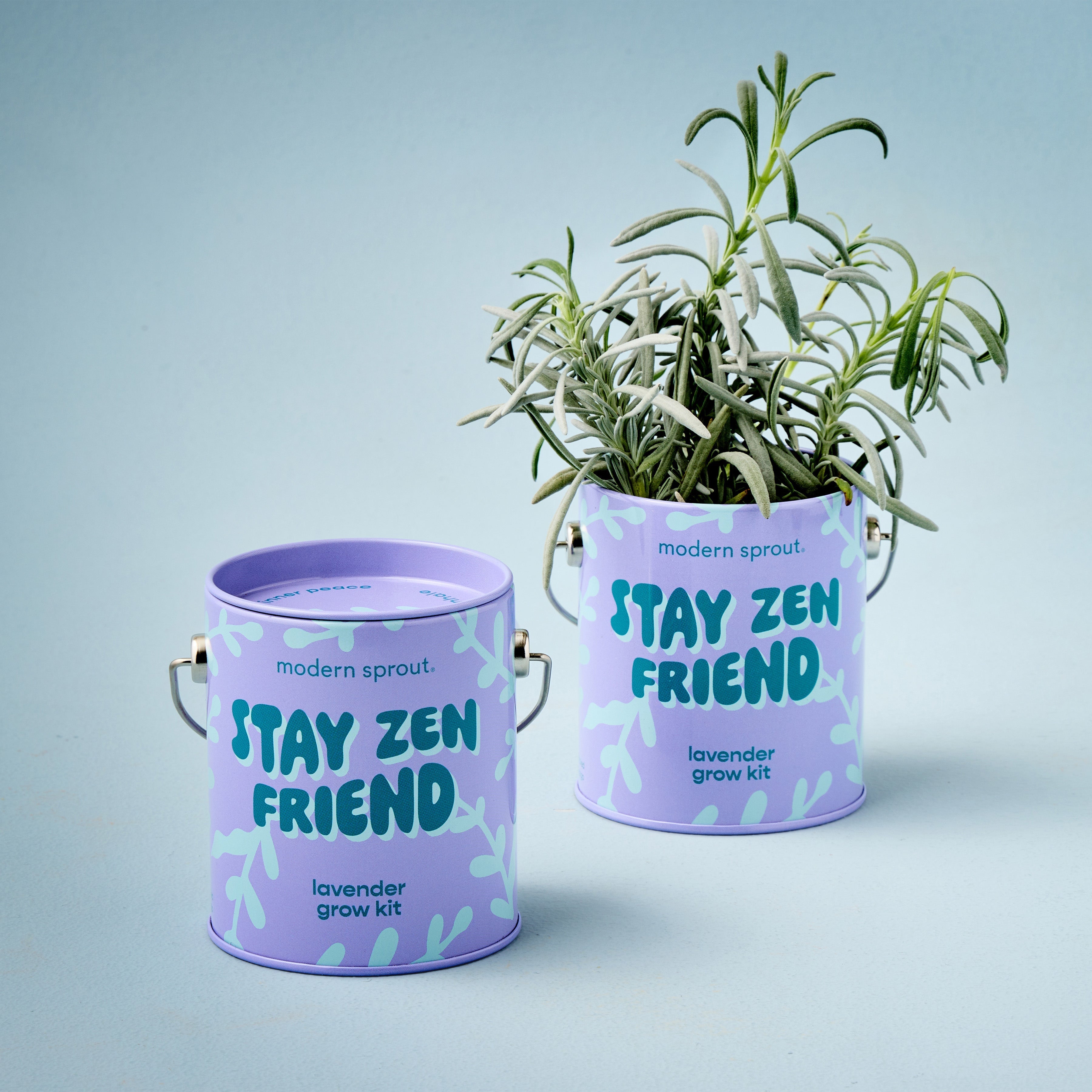 Complimentary Colors Grow Kits