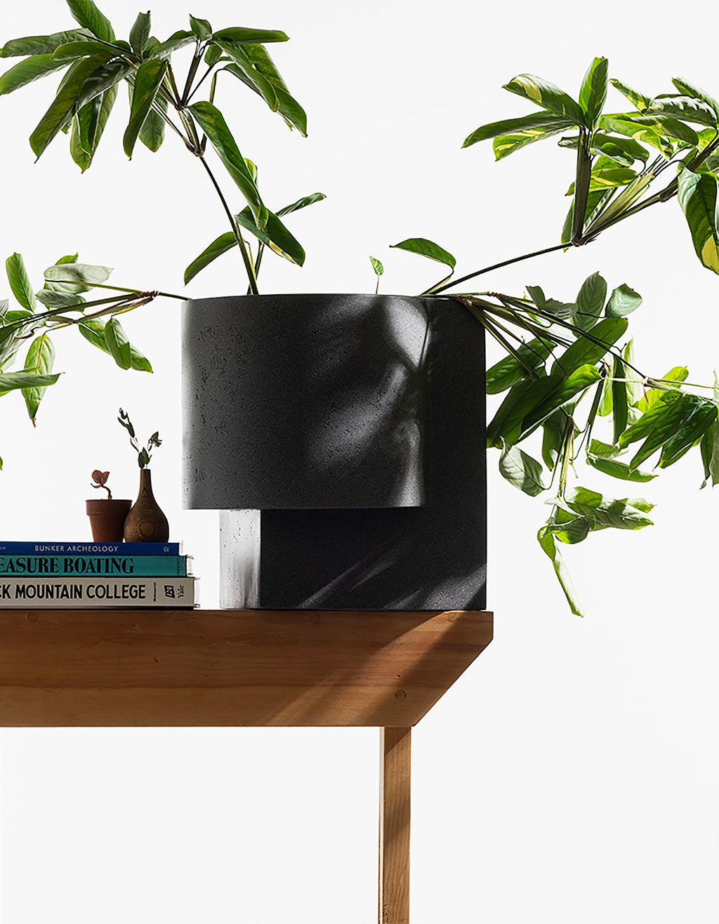 Platform Planter Large