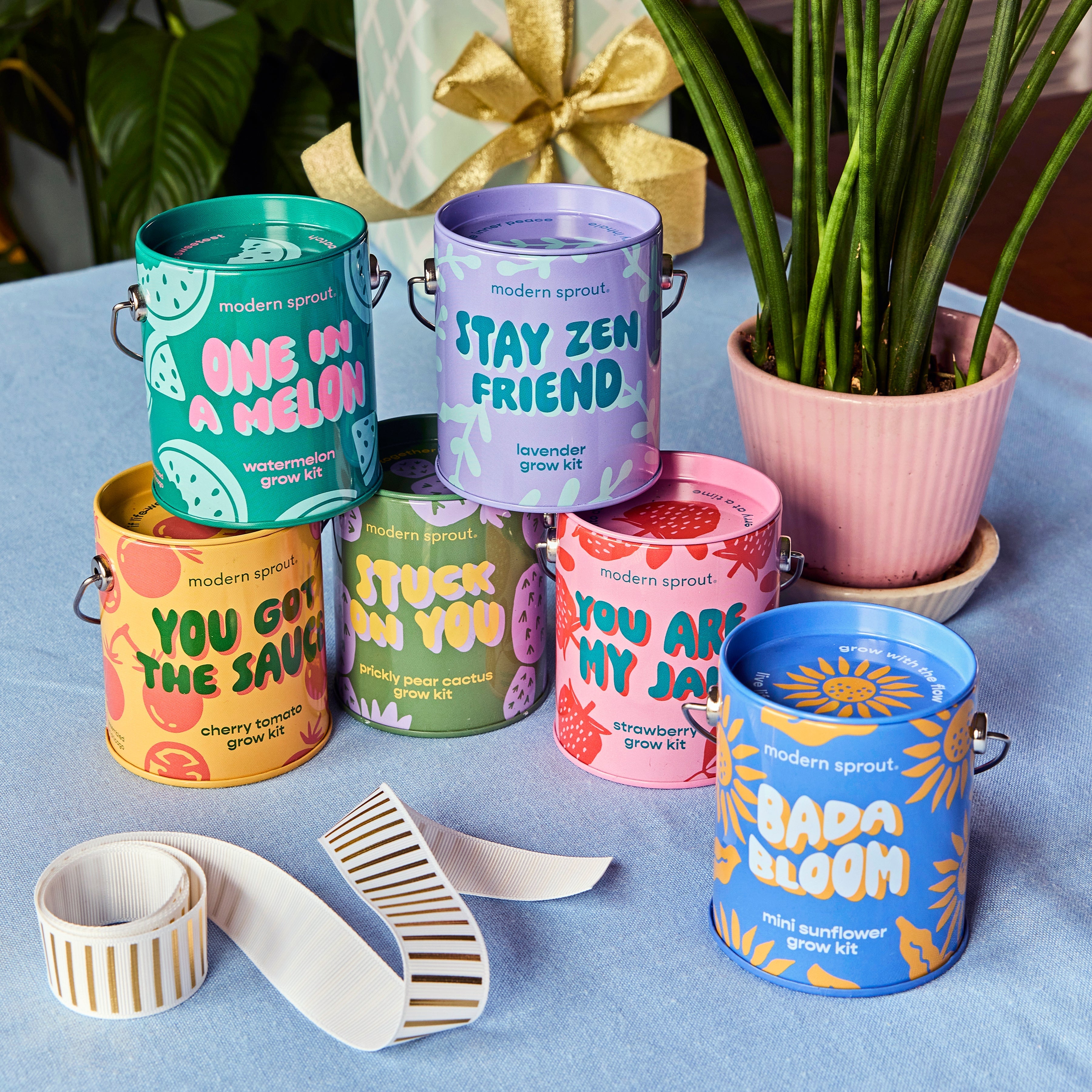 Complimentary Colors Grow Kits