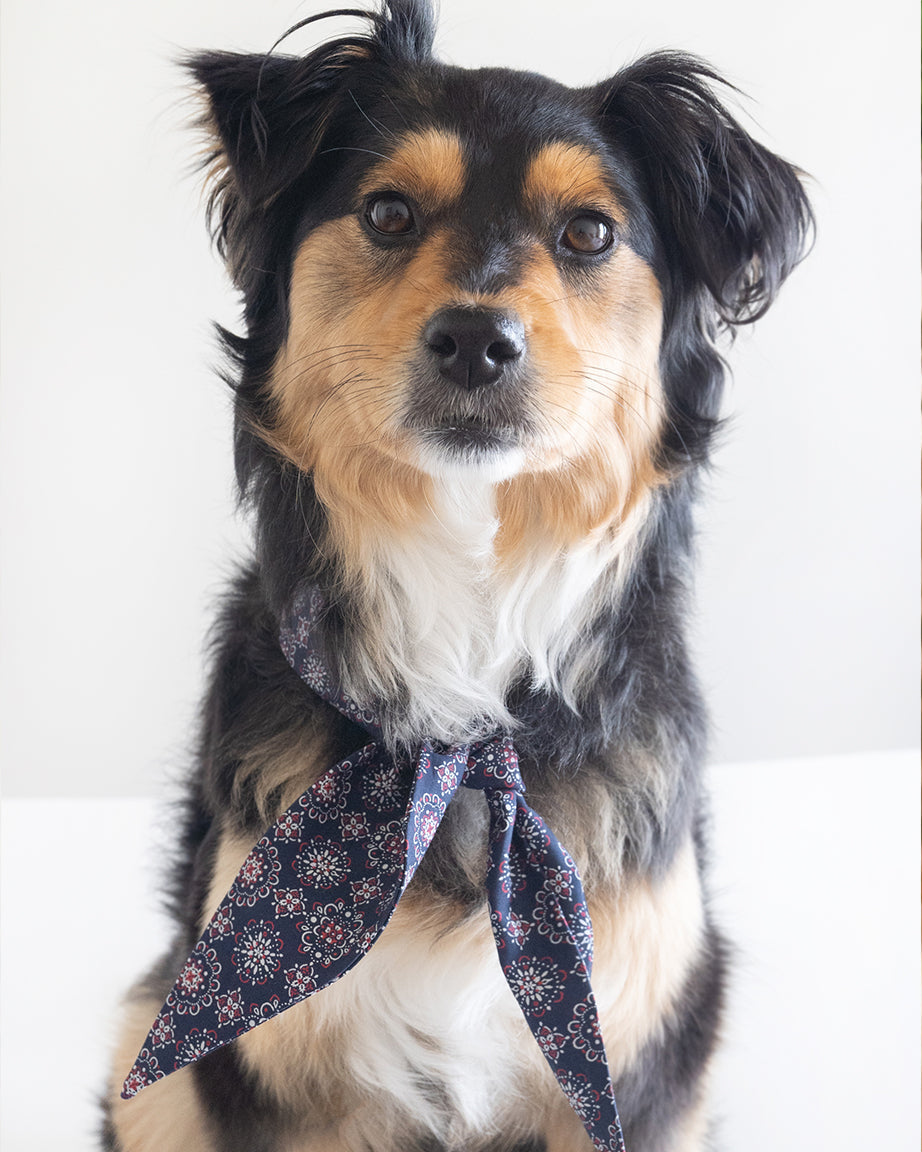 CLASSIC NECKTIE