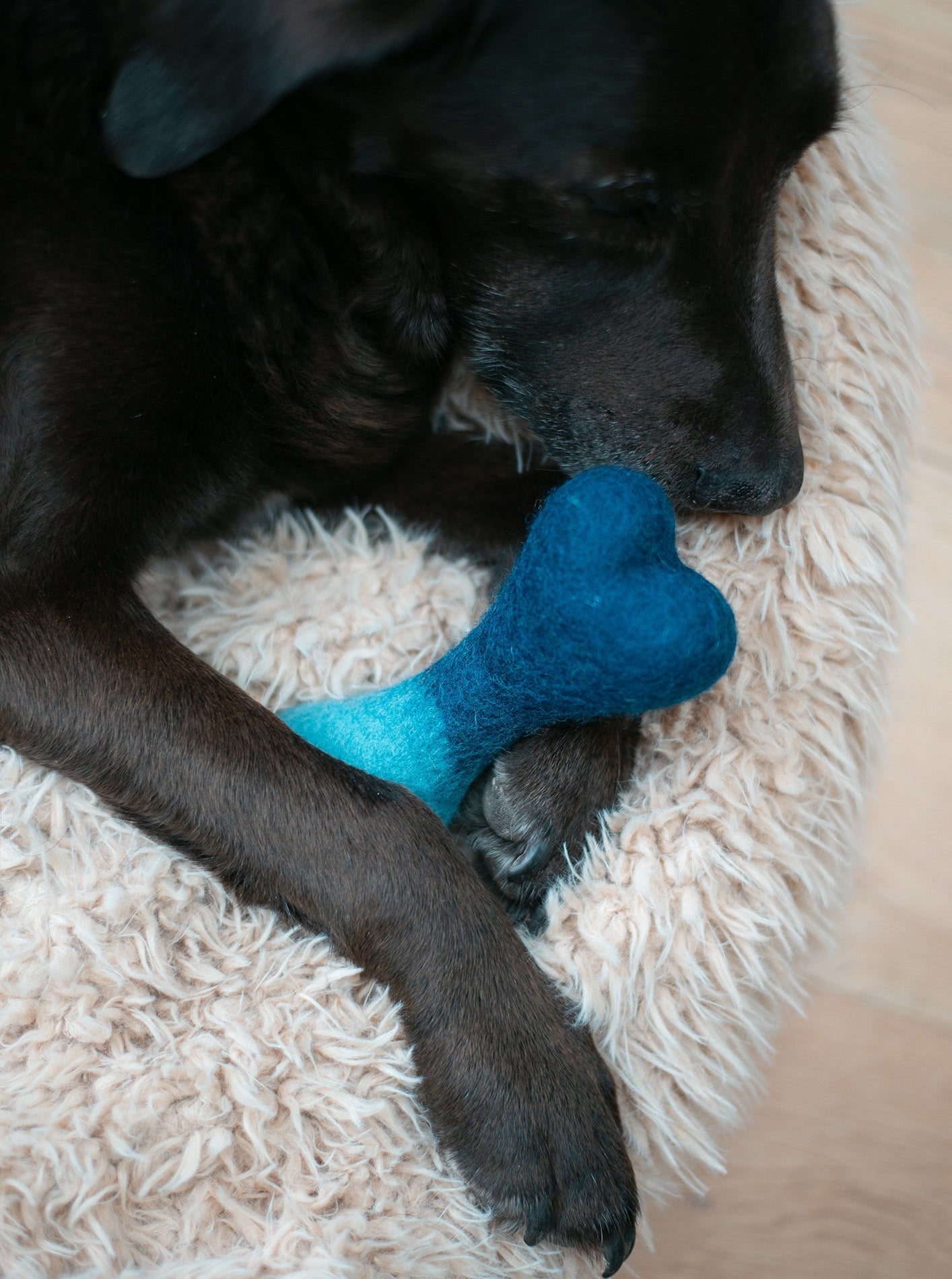 OMBRE WOOLBONE DOG TOY