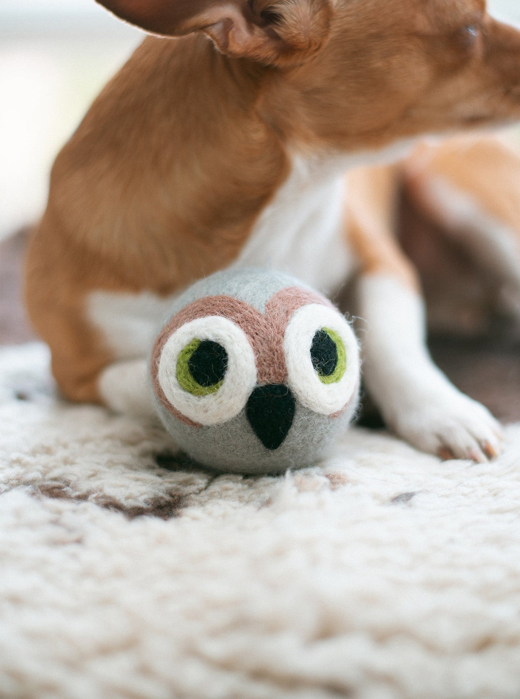 WISE OLD OWL BEASTBALL DOG TOY