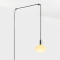 Oval Dim to Warm Plug-In Pendant in Graphite
