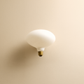 Oval E26 LED Bulb