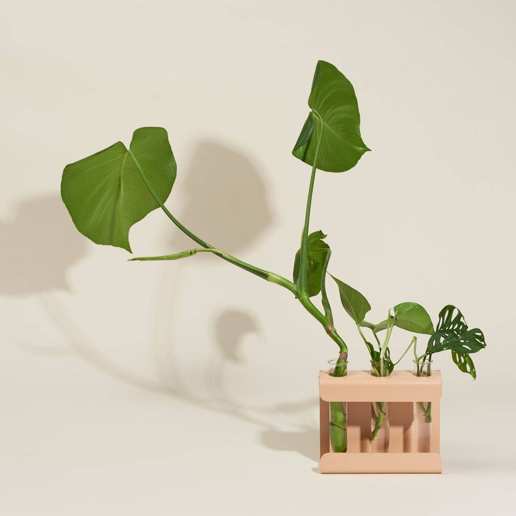 Propagation Station – Wall-Mounted & Tabletop