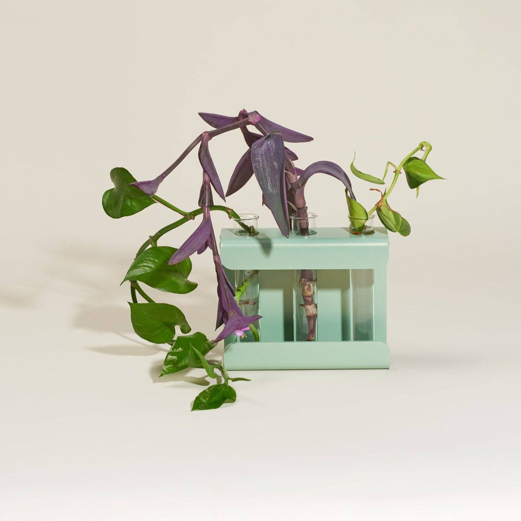 Propagation Station – Wall-Mounted & Tabletop