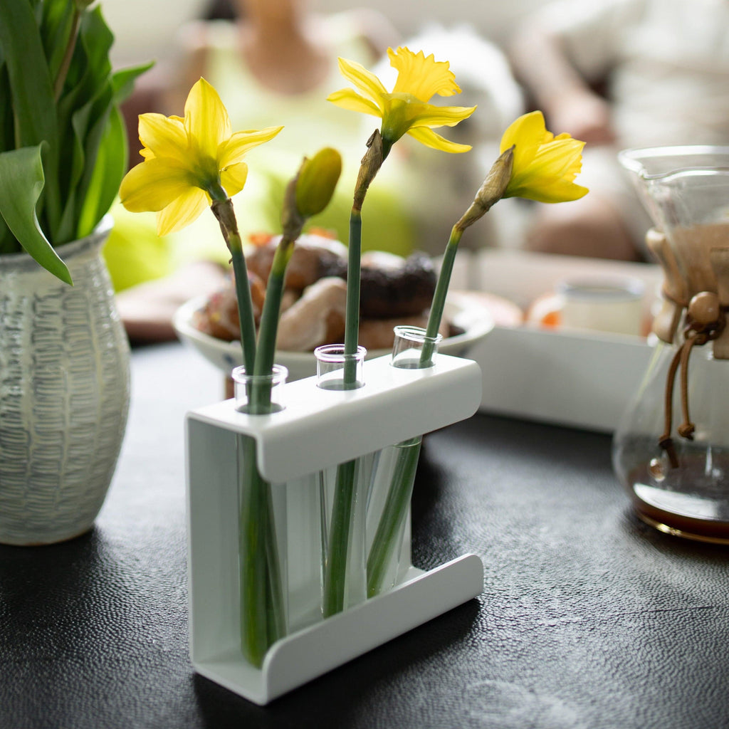 Propagation Station – Wall-Mounted & Tabletop