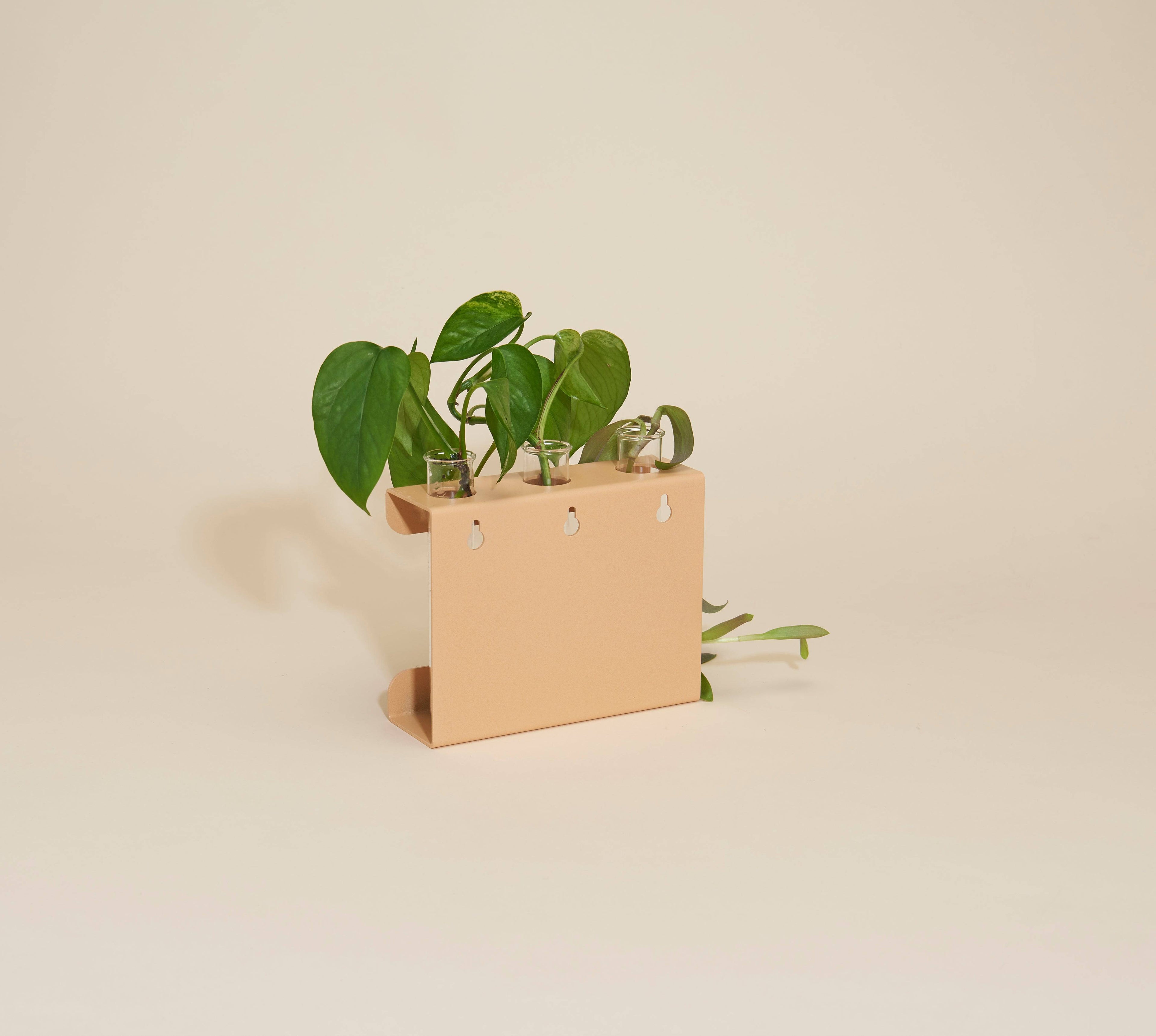 Propagation Station – Wall-Mounted & Tabletop