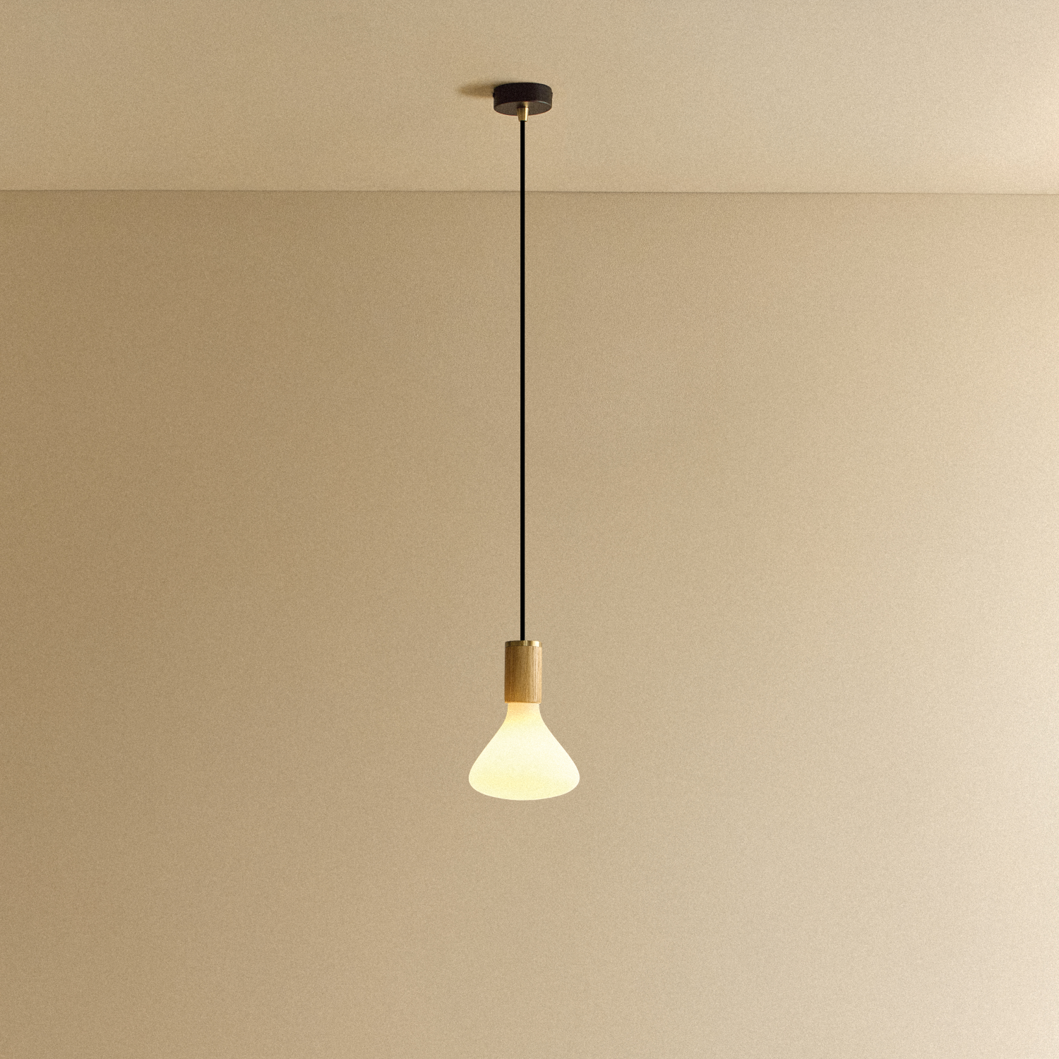 Noma Pendant Light in Oak