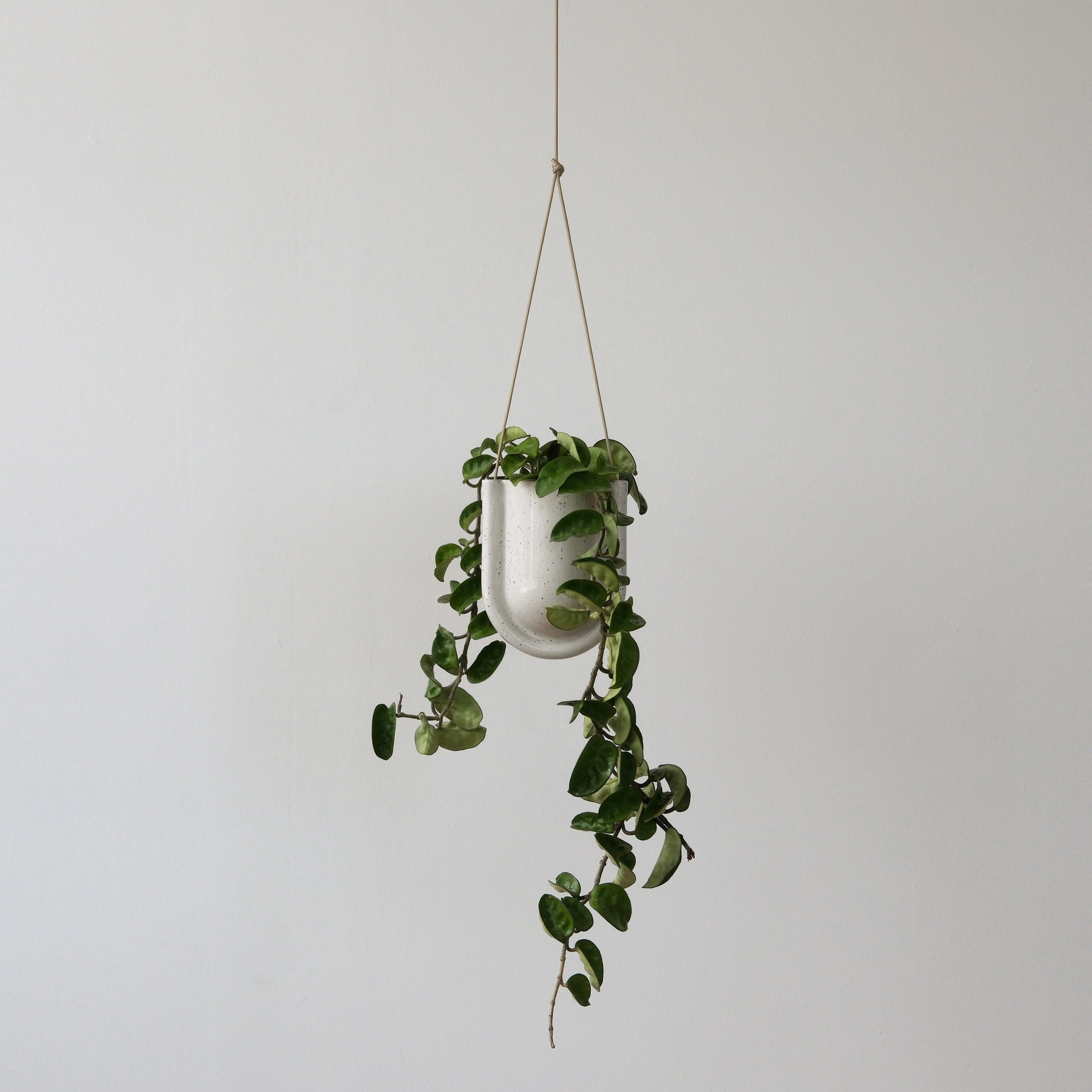 Portico Planter