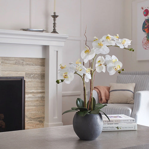 Artificial White Double Stem Orchid