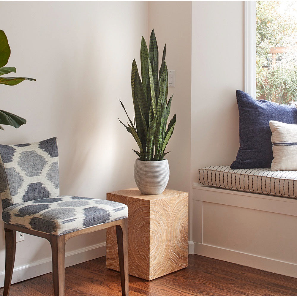 Artificial Snake Plant with Artisan Planter