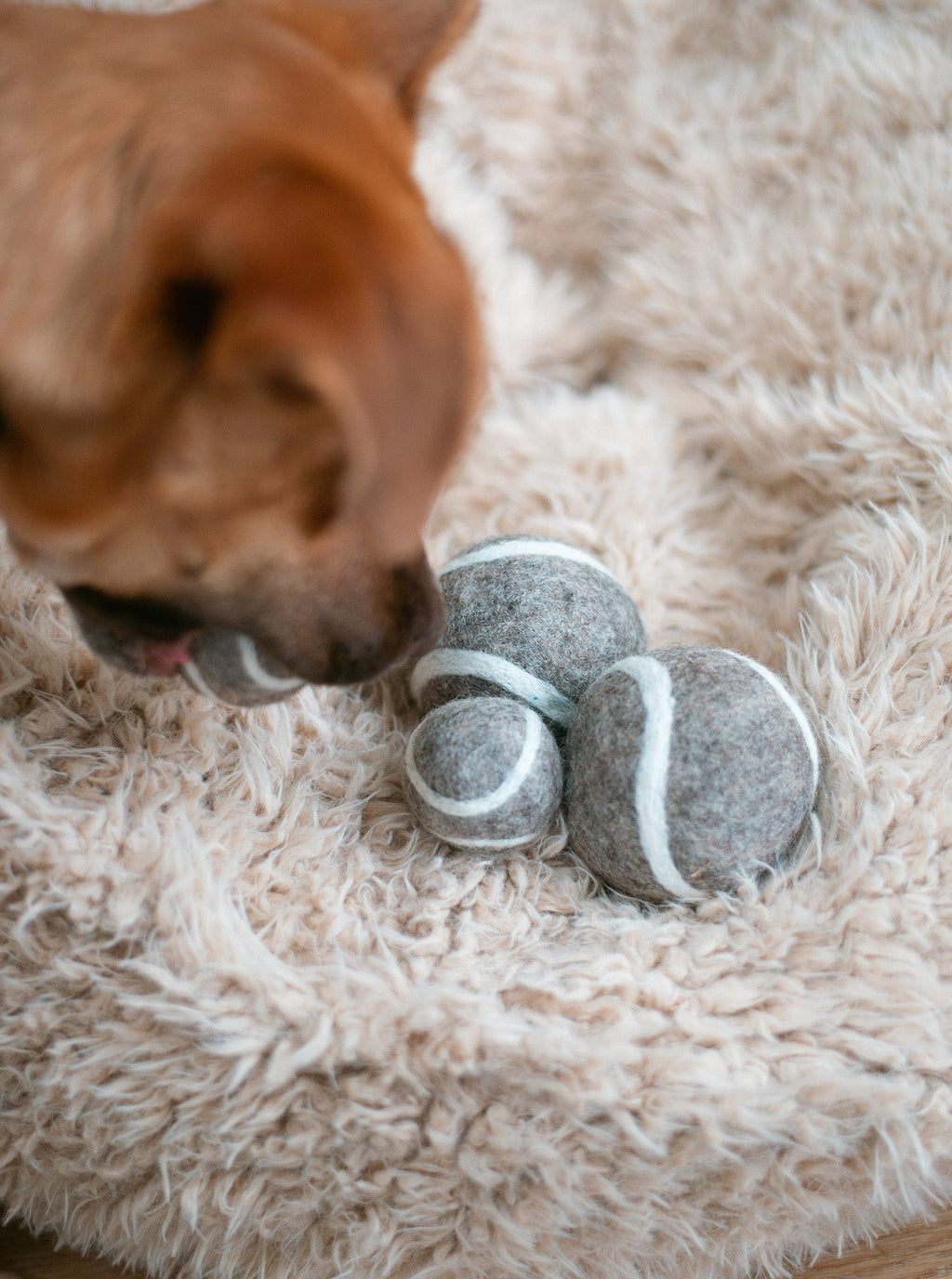 TENNIS BALL WOOL DOG TOY