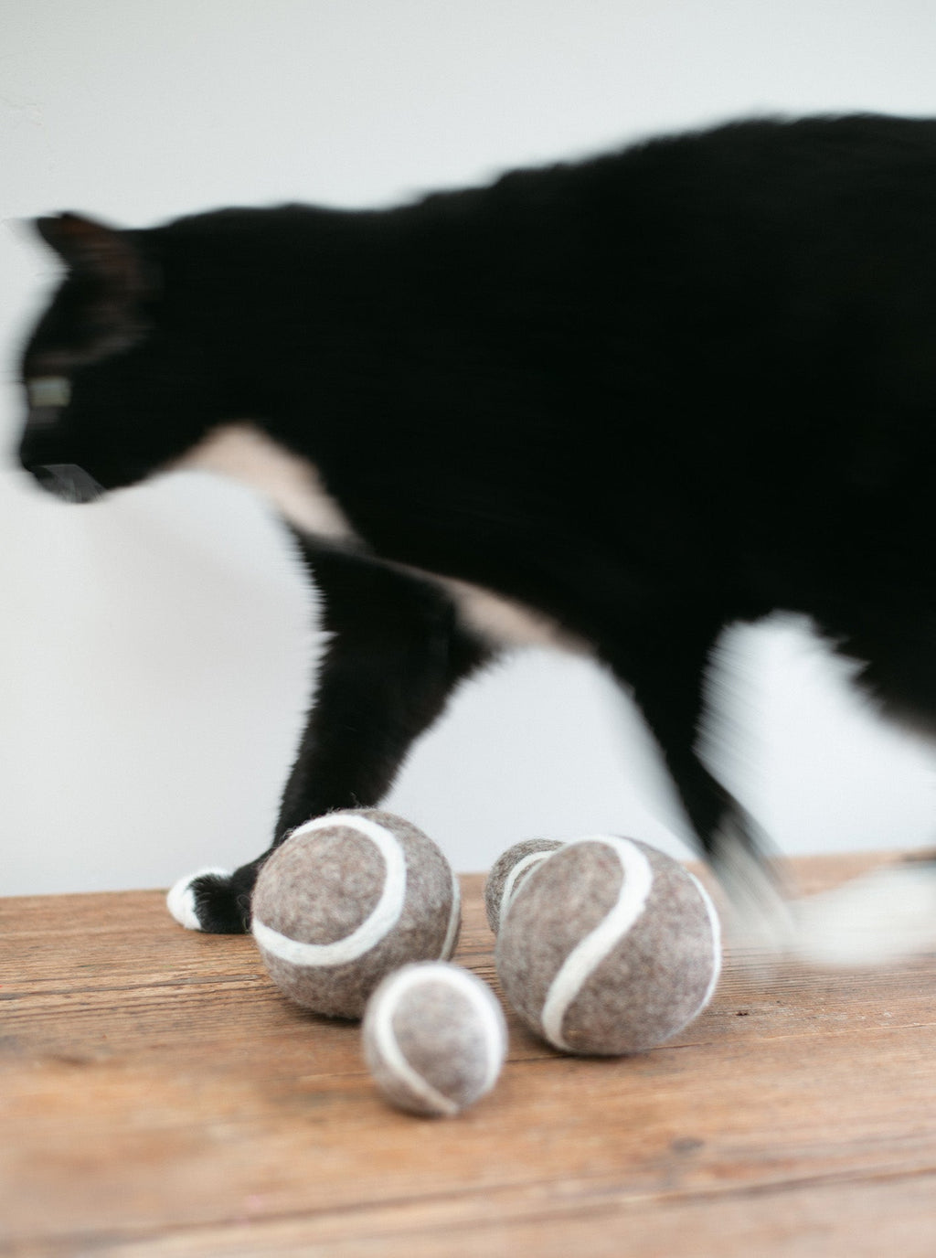 TENNIS BALL WOOL DOG TOY
