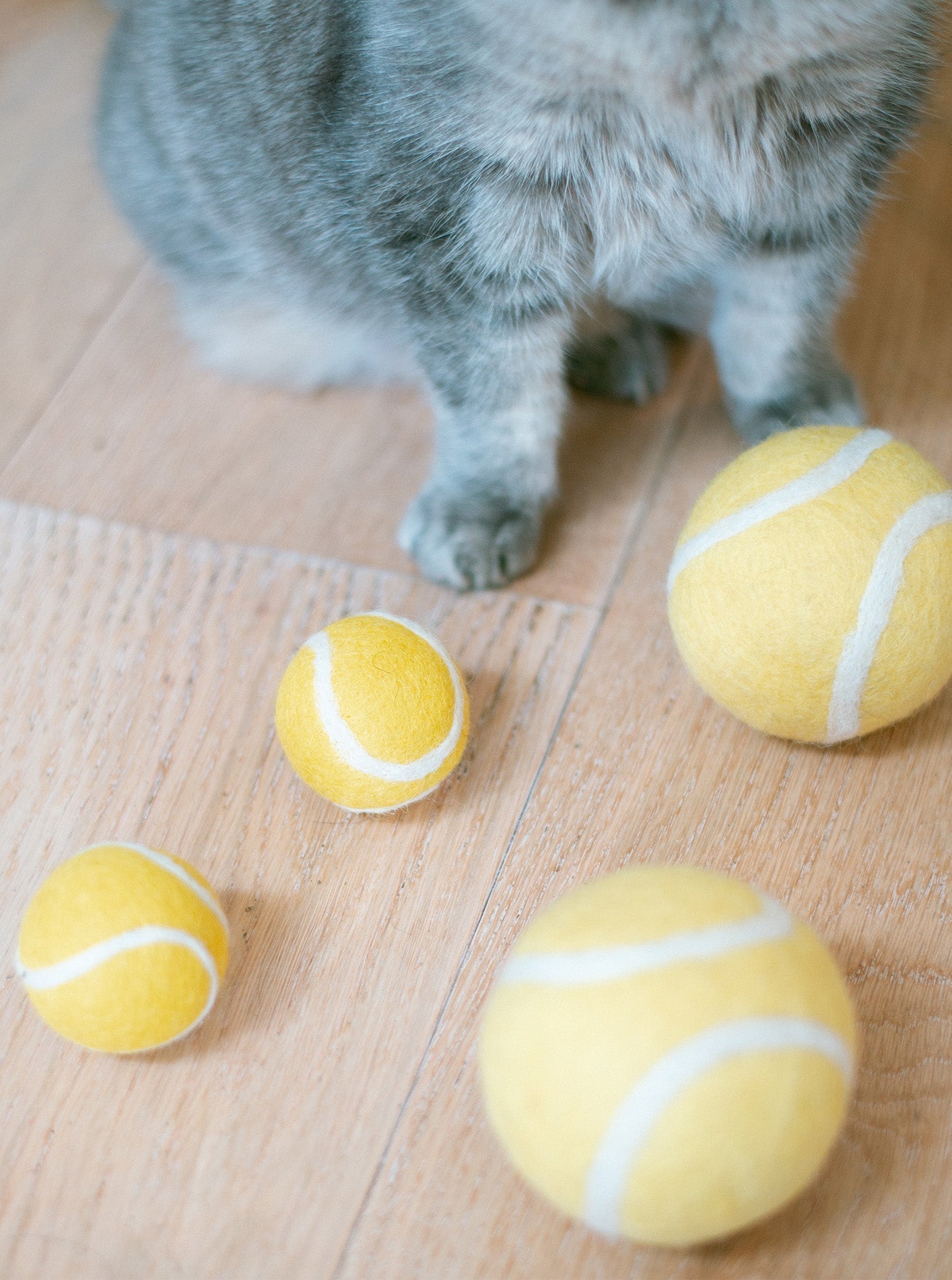 TENNIS BALL WOOL DOG TOY