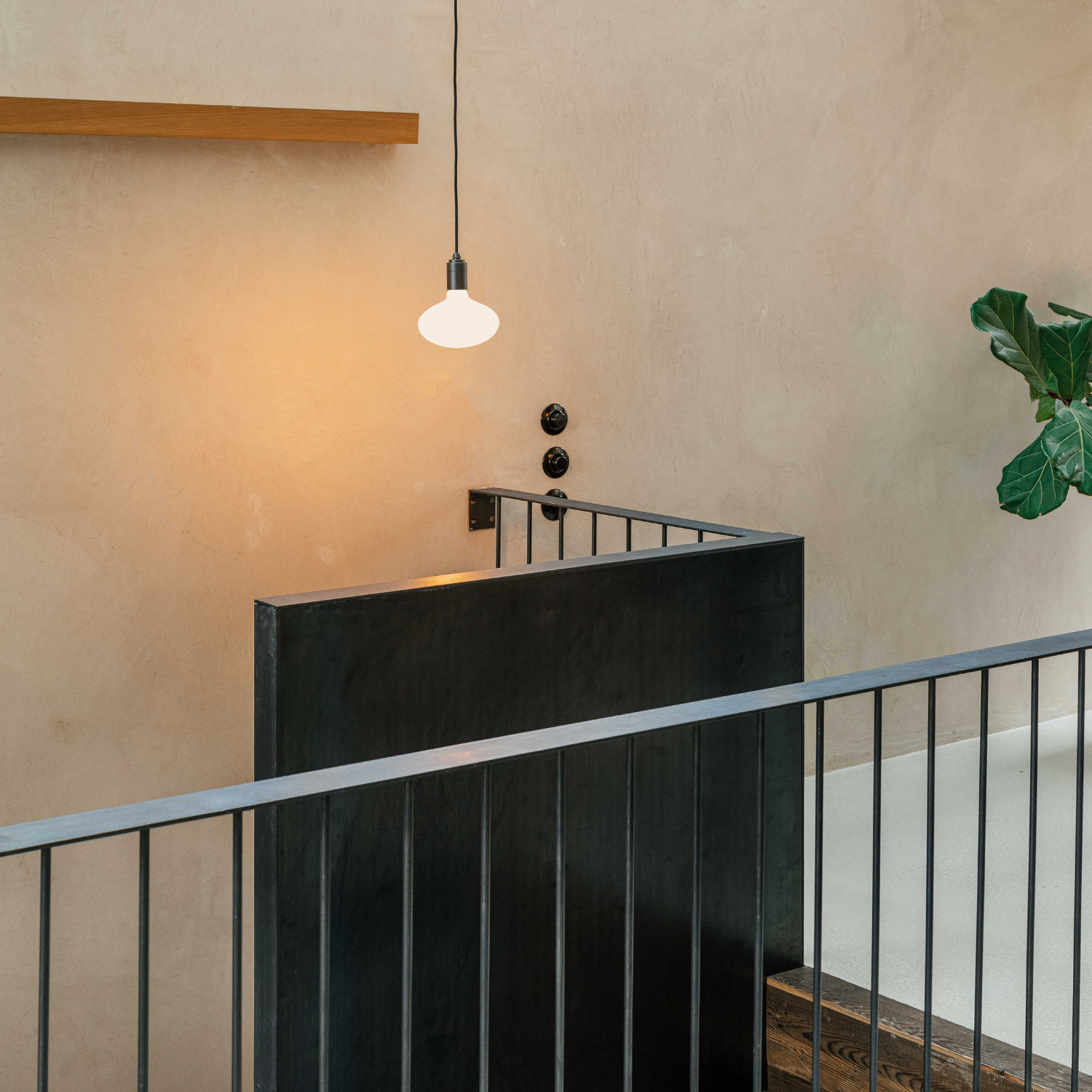 Oval Pendant Light in Graphite