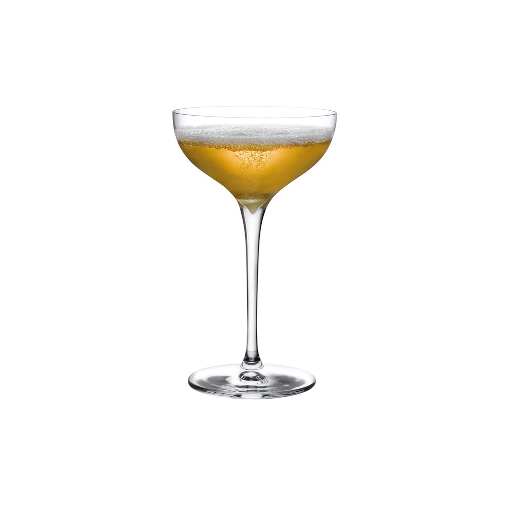 Terroir Set of 2 Coupe Glasses