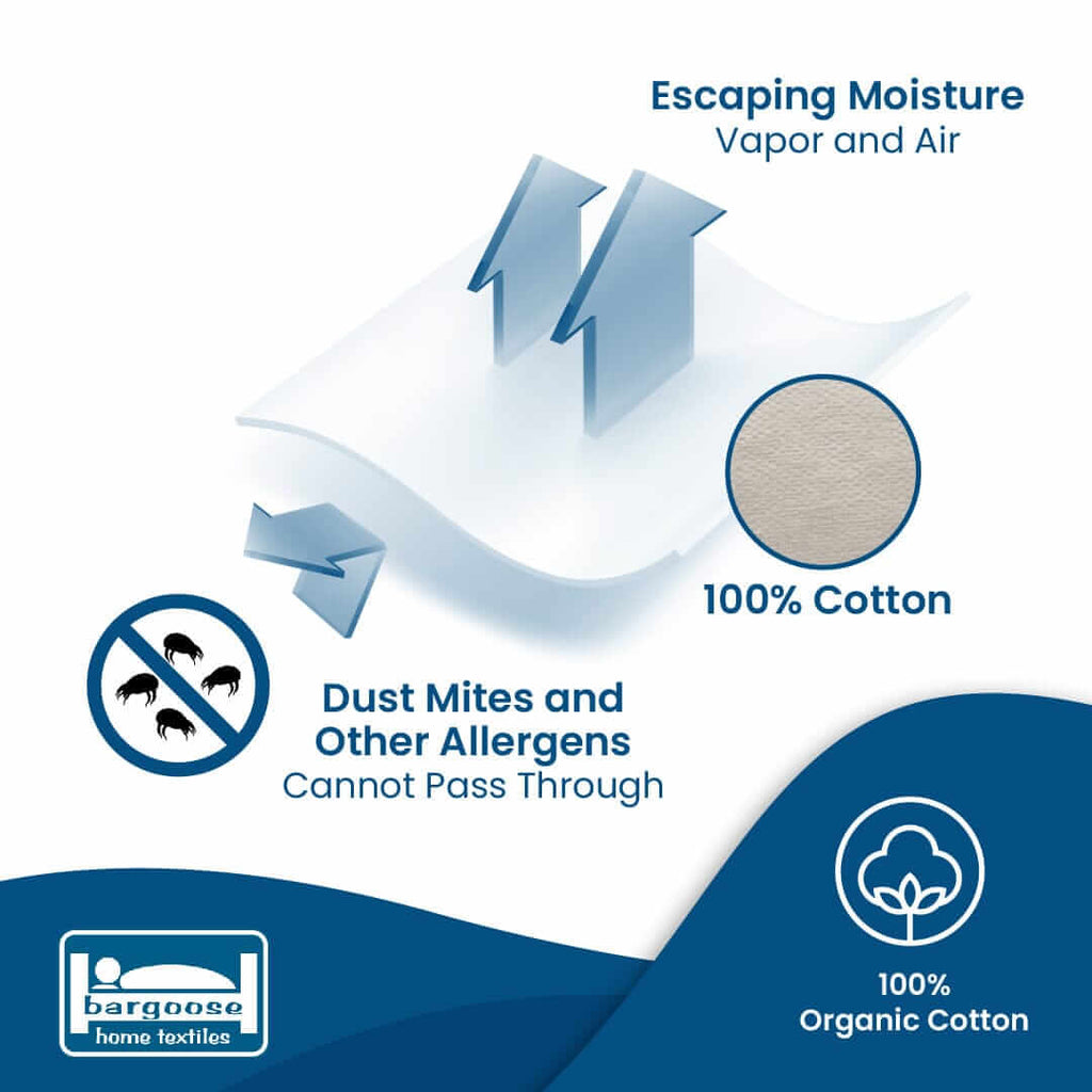 AllergyCare Organic Cotton Fitted Mattress Protector | Bargoose
