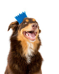 BRIGHT PARTY CROWNS