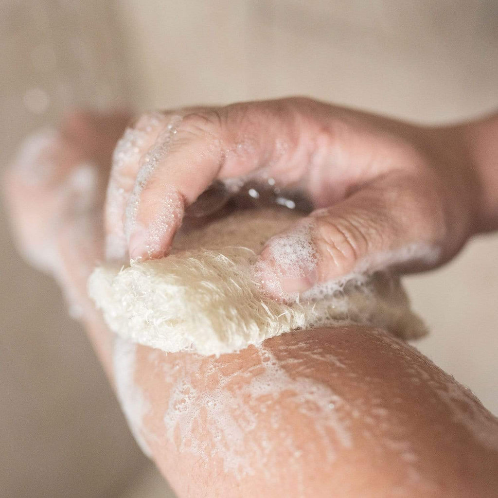 Loofah Sponge Pack