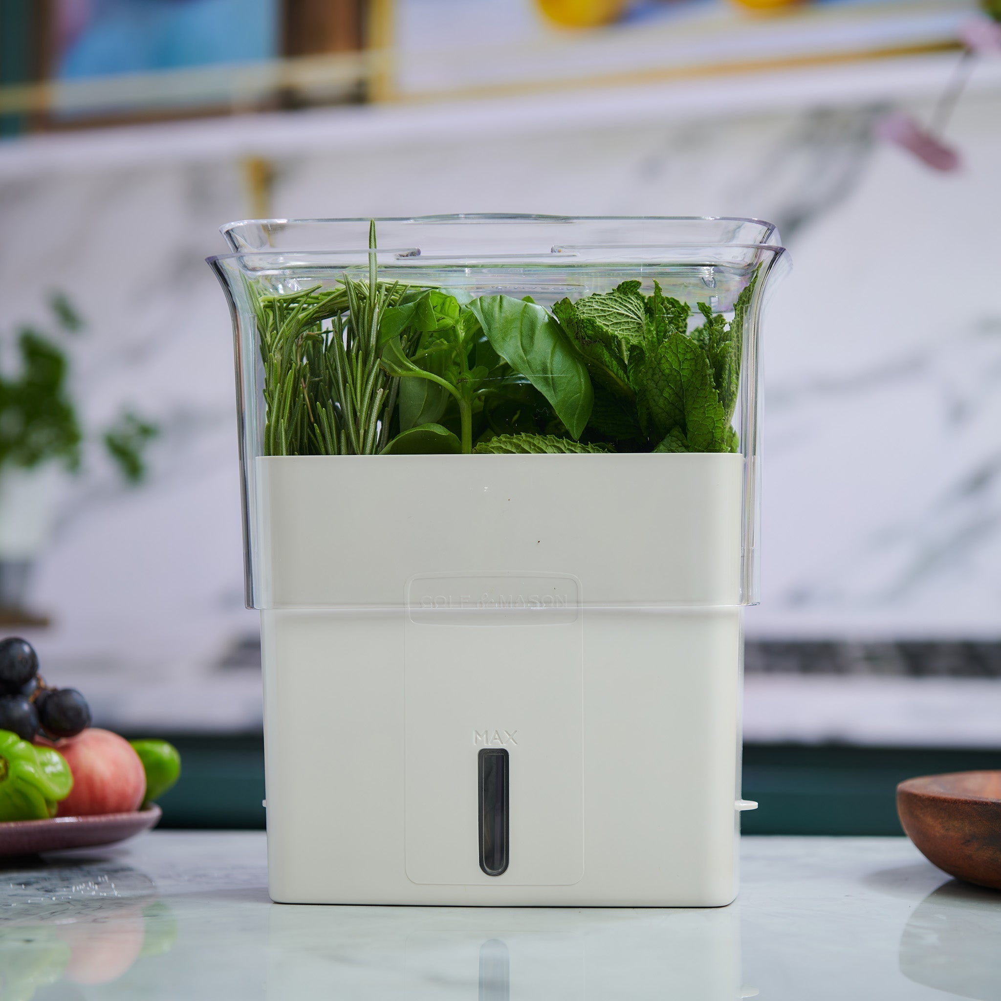 Cole & Mason Tealby Cut Herb Keeper