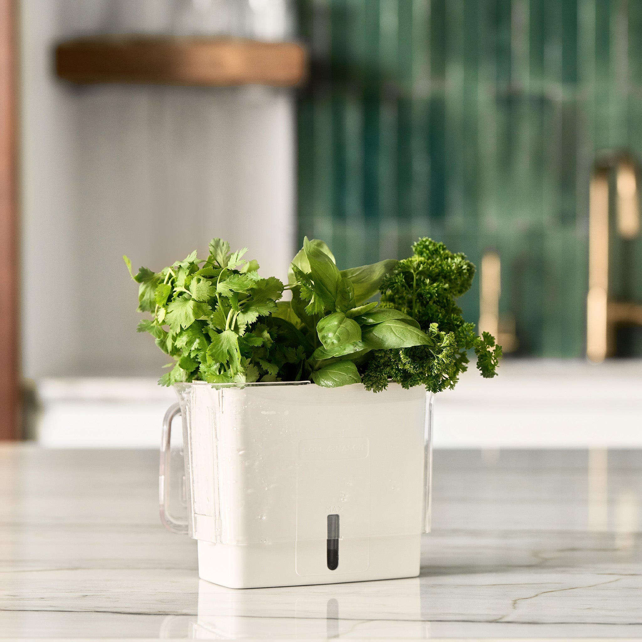 Cole & Mason Tealby Cut Herb Keeper