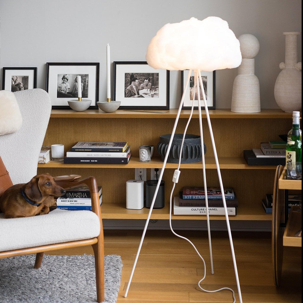 LS Floor Cloud