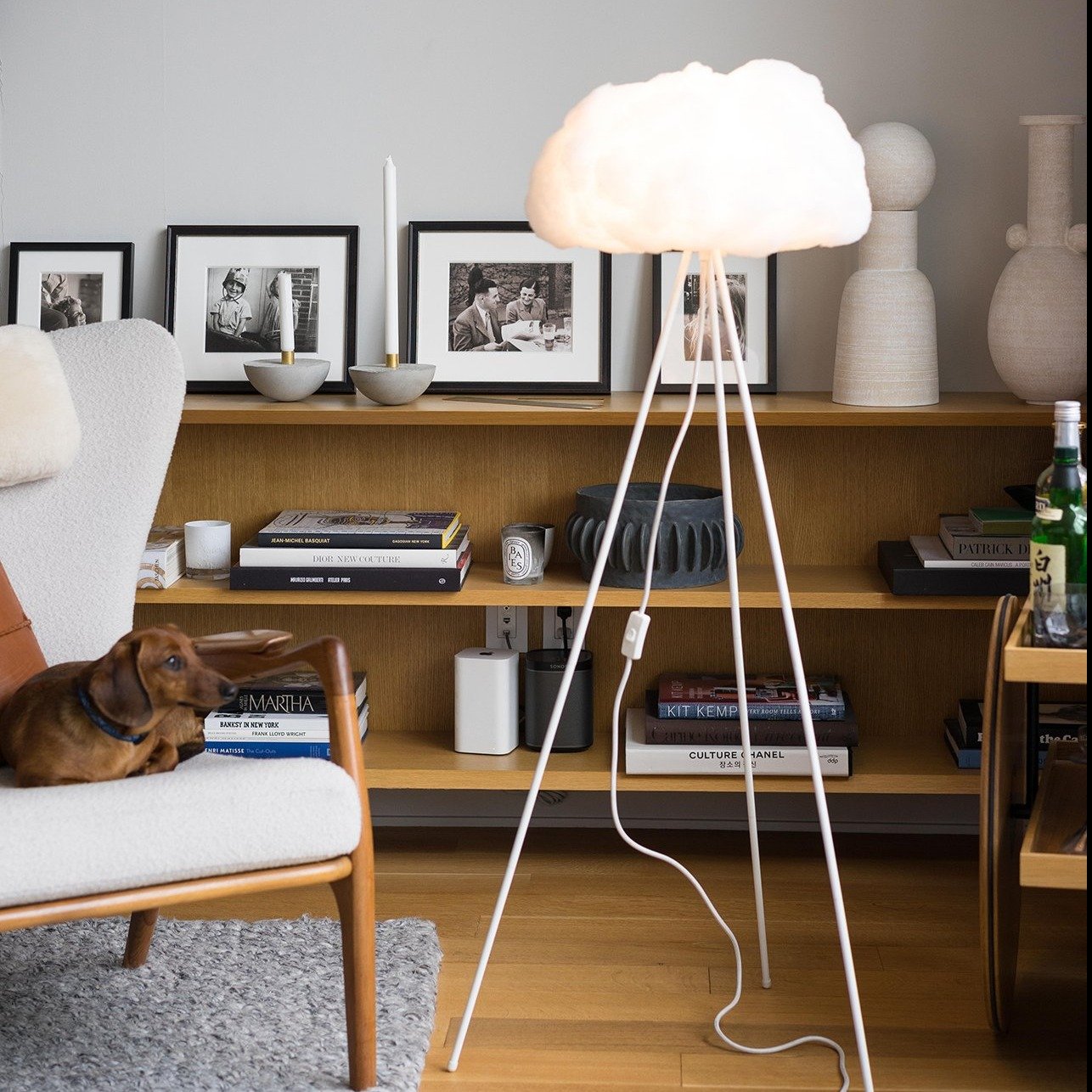 LS Floor Cloud