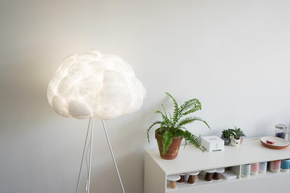 LS Floor Cloud