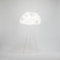 LS Floor Cloud