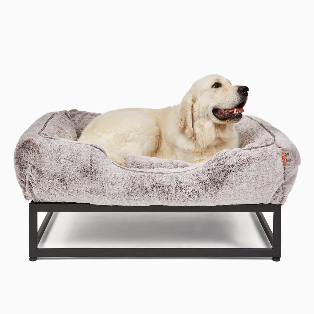 The FÜZI Elevated Dog Bed