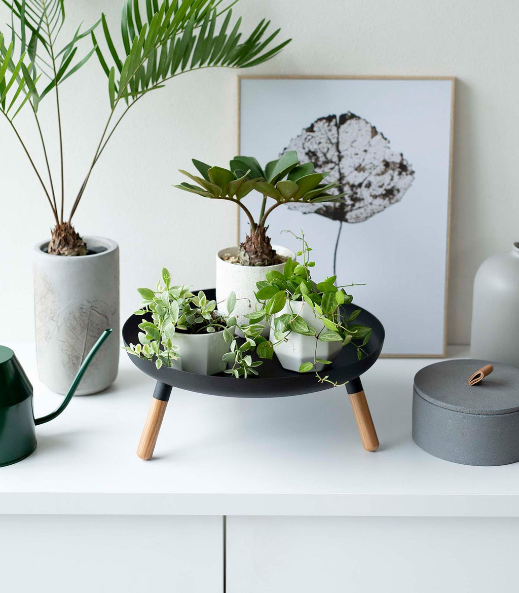 Countertop Pedestal Tray (5" H)  - Steel + Wood